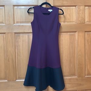Gorgeous Formal Calvin Klein Sleeveless Dress